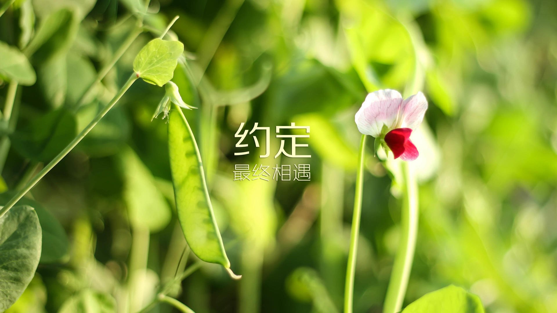 德甲激烈，教练强调战术应用，德甲球员撞教练