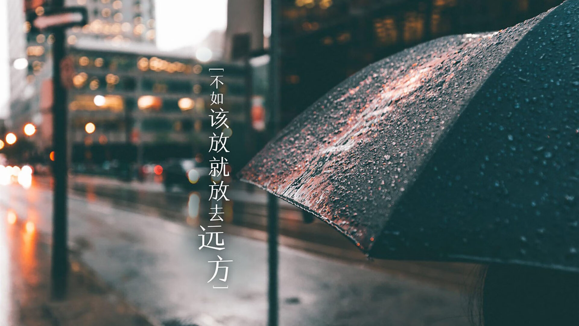 随机足球青训项目入驻高校体育人才库，足球青训营报名
