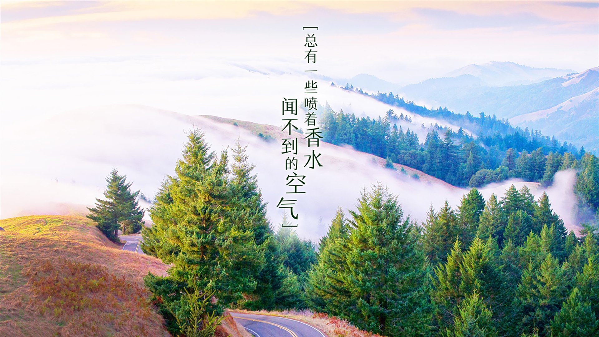 随机原州东浦新世代新秀球员崭露头角，东原地产新蒲