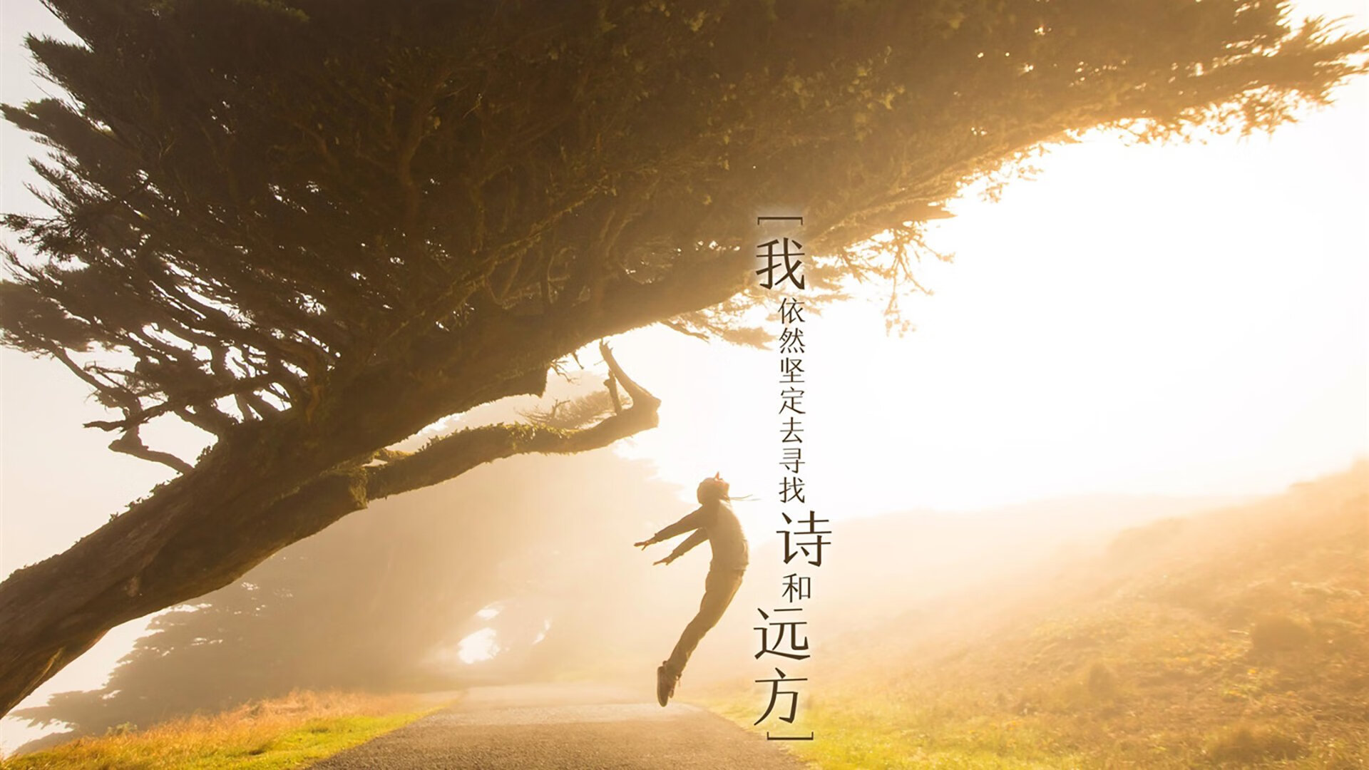 随机弗拉门戈签下实力中场，弗拉门戈昨晚比赛