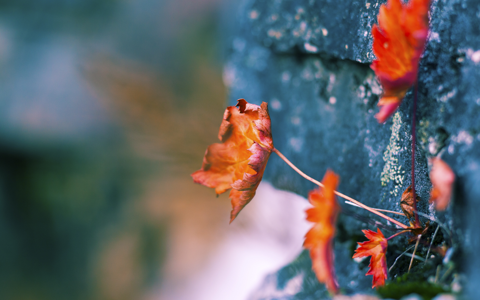 爱游戏登录入口-体育新闻中心发布体育赛事内容智能审核方案，体育新闻中心发布体育赛事内容智能审核方案