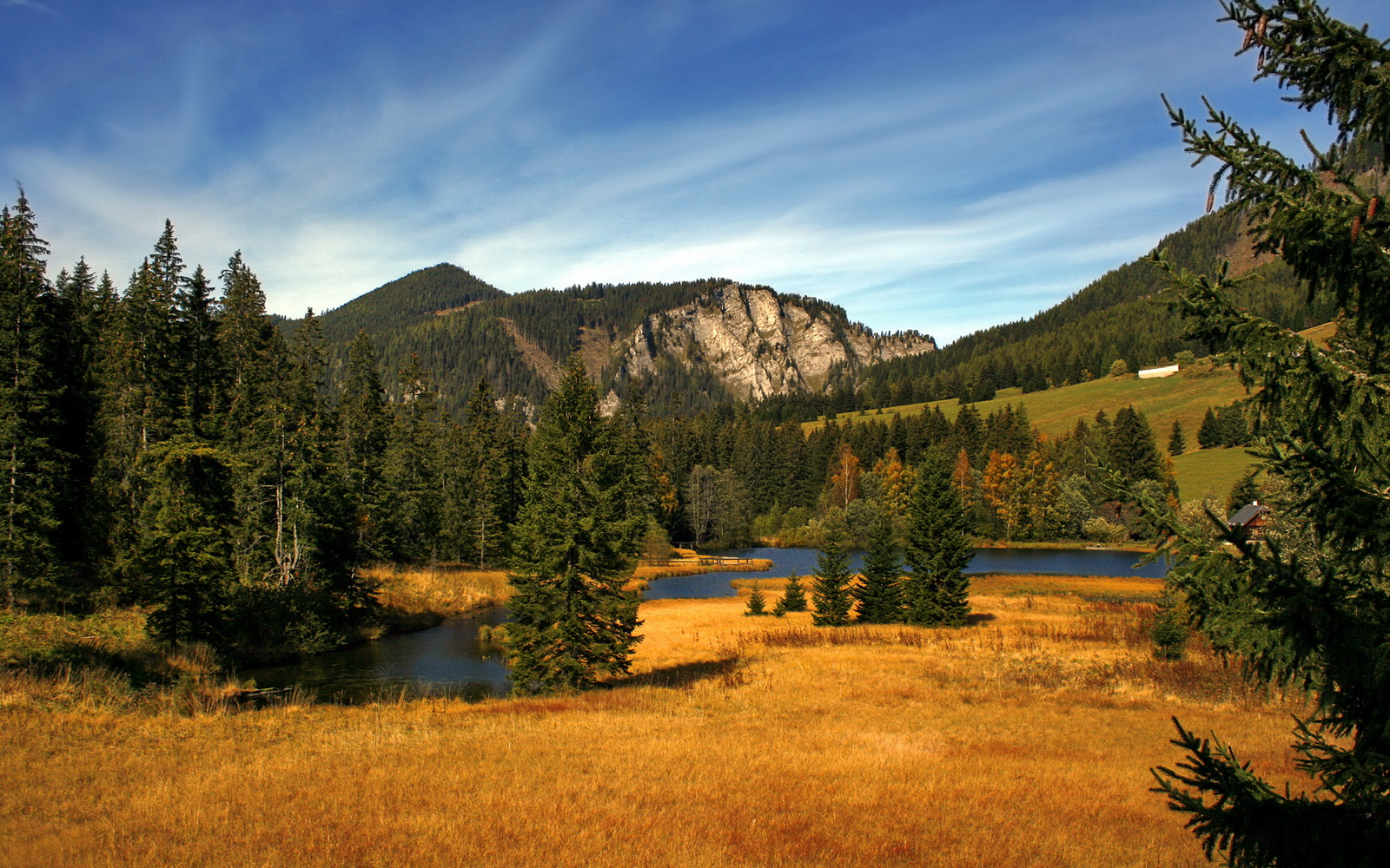 体育新闻中心发布体育直播质量保障标准，关于体育直播