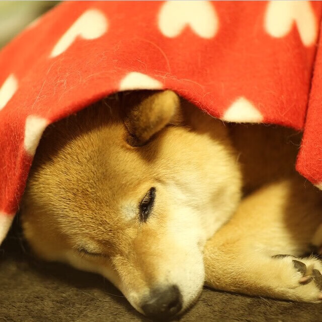 斯密斯：全黑队不可或缺的半场支柱，进攻线上的关键人物，sime斯密