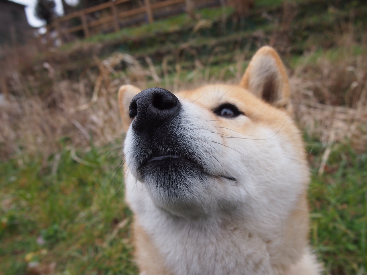 新闻中心公告国际级教练员进修班开班信息,国际教练技术