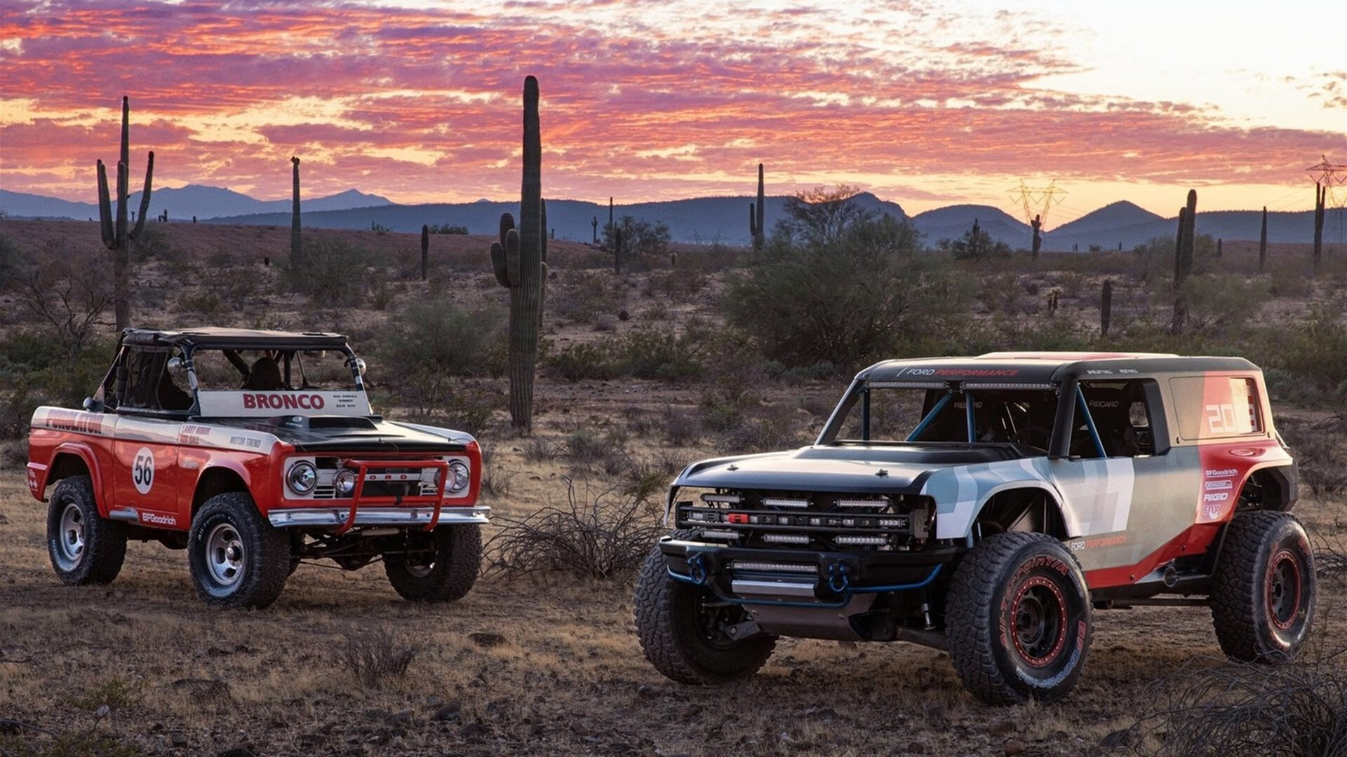 AYX体育-美洲杯明星助威：激情全开！，美洲杯得主