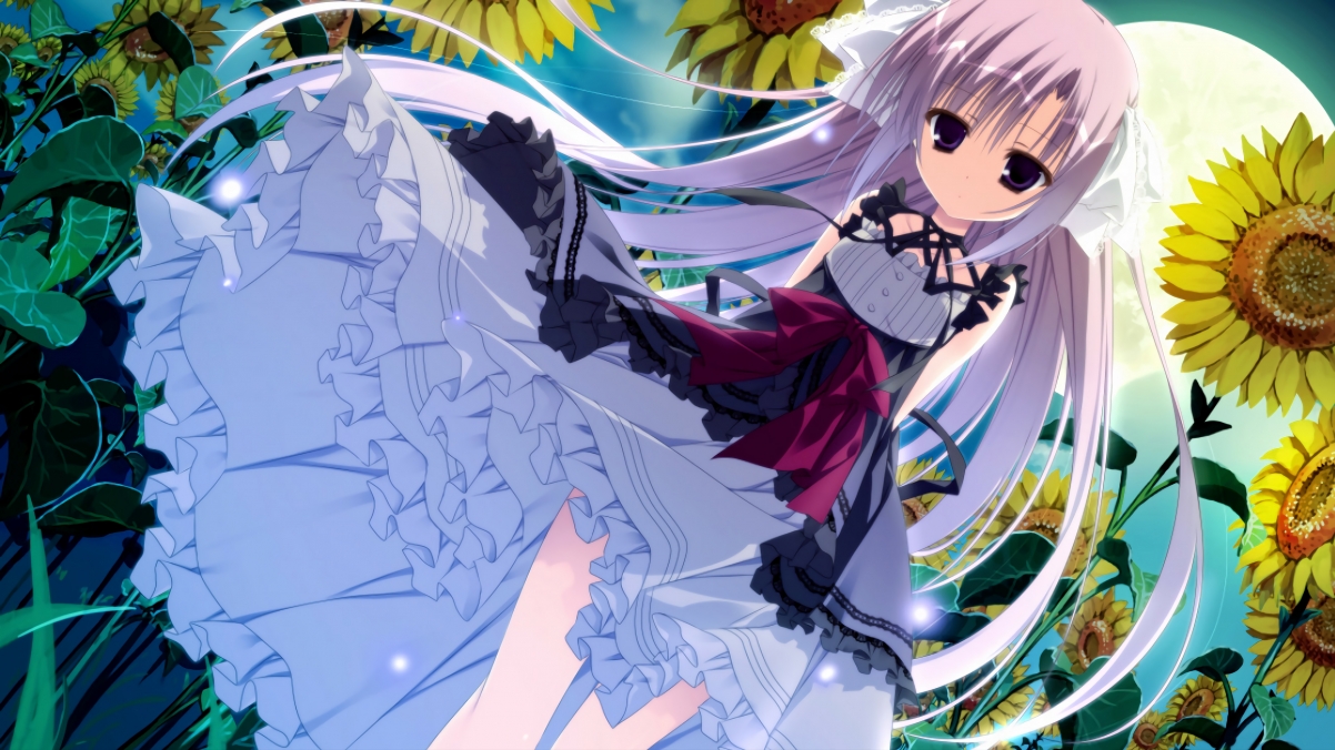 美洲杯明星助威：激情全开！，美洲杯得主