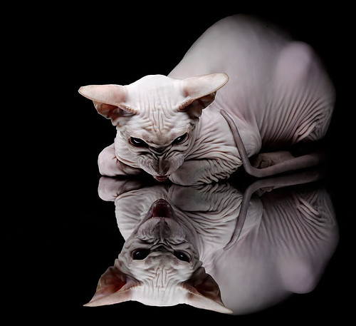 爱游戏登录入口-职业球队关注球员赛后恢复系统优化冷疗与拉伸流程，球员冷冻疗法