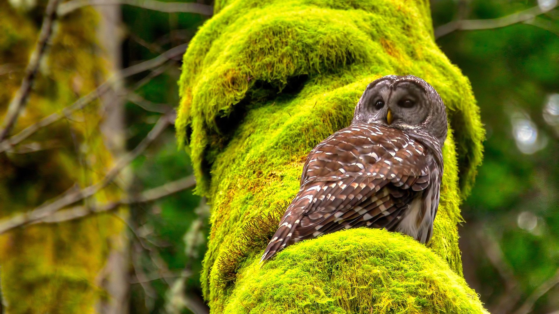 爱游戏-英超冲刺季：每场比赛都精彩绝伦！，英超冲刺季_每场比赛都精彩绝伦吗