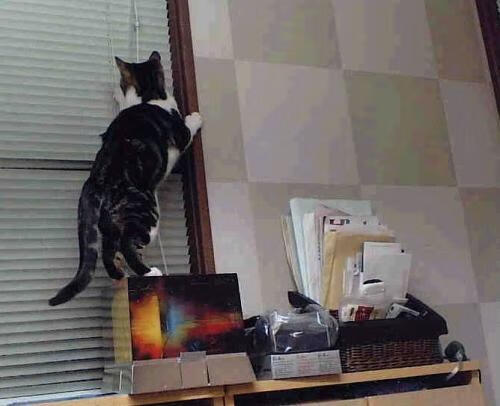 西甲绝妙进球:精彩破门瞬间令人振奋!,西甲进球榜最新排名